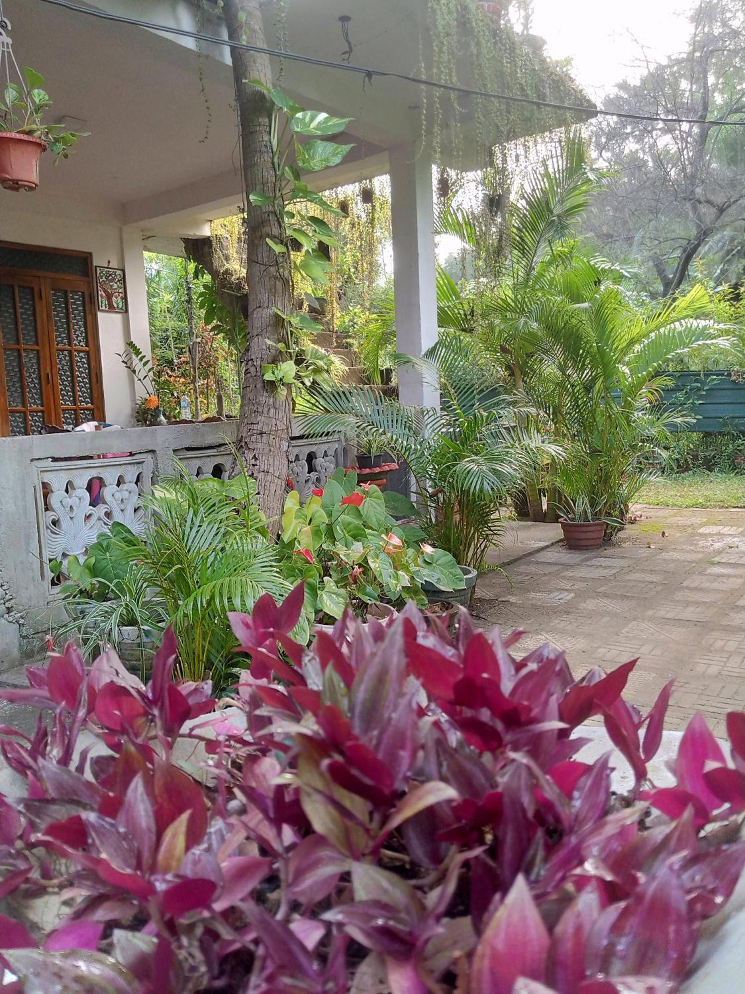 Nelum Home Stay Sigiriya Exterior foto